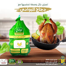 دجاج البوادي